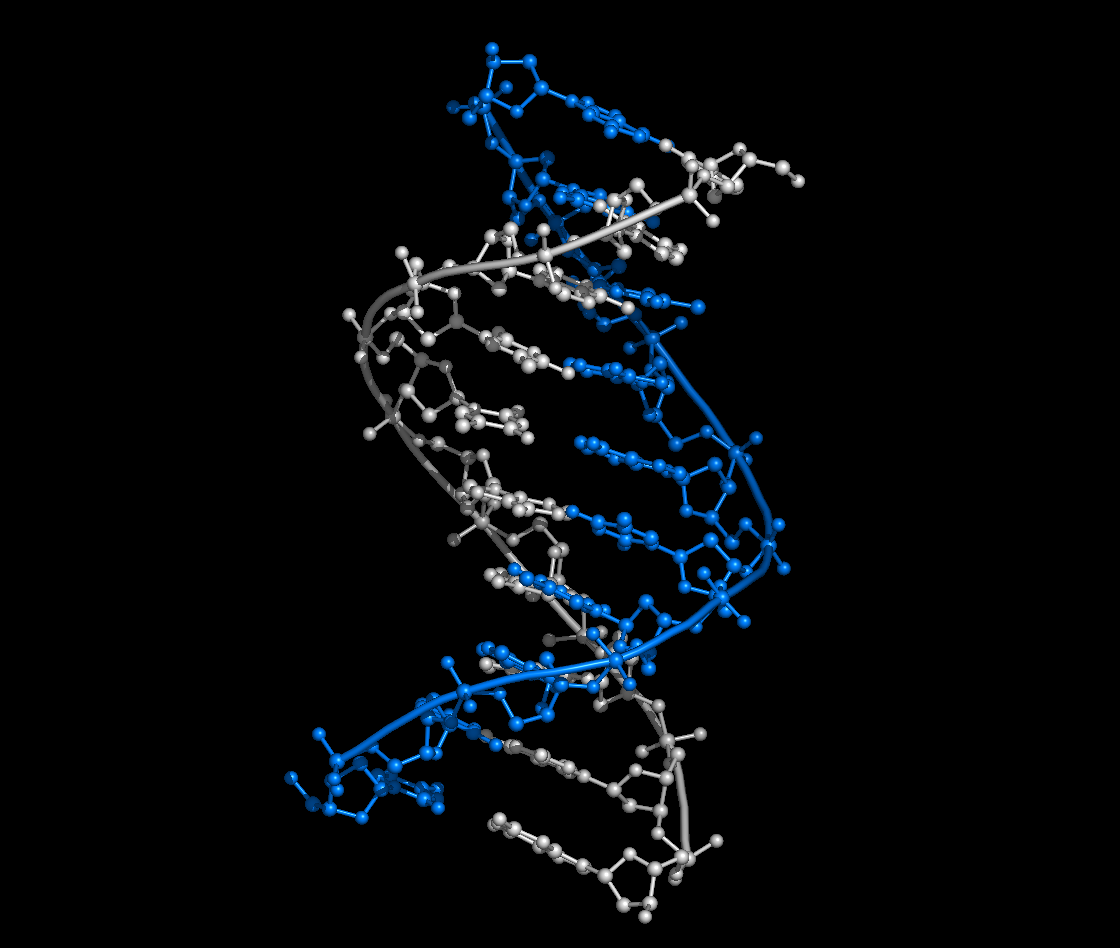 Concepts In Nucleic Acid Structure And Function