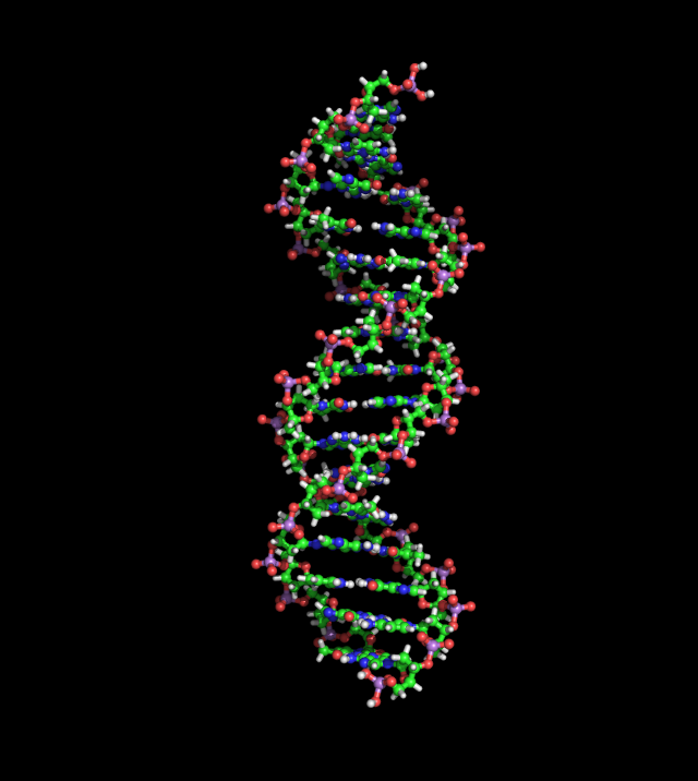 Arsenic DNA