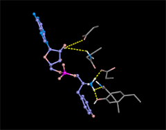 Tyr tRNA Synthet