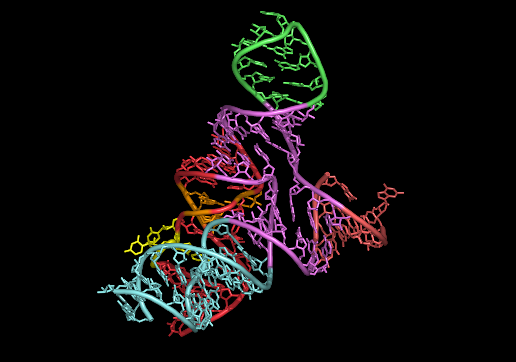 Каталитическая рнк. Рибозимы РНК. Рибозимы лигазы. Рибозимы структура. Ферментативная активность РНК. Рибозимы..